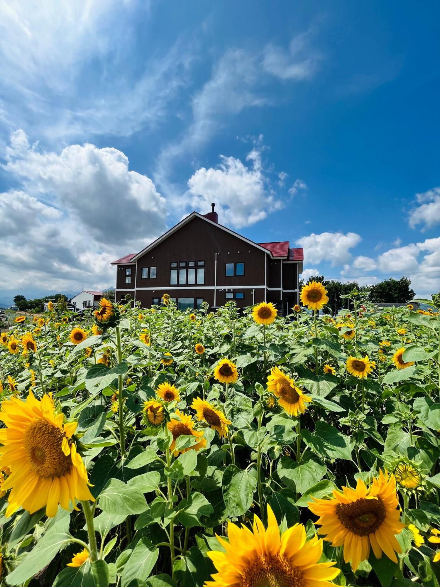 Shooting Star The Bed & Breakfast Furano Exterior photo
